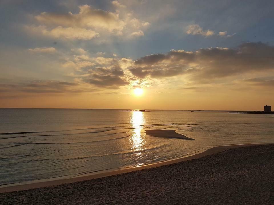 Vev Salento Bed & Breakfast Porto Cesareo Ngoại thất bức ảnh
