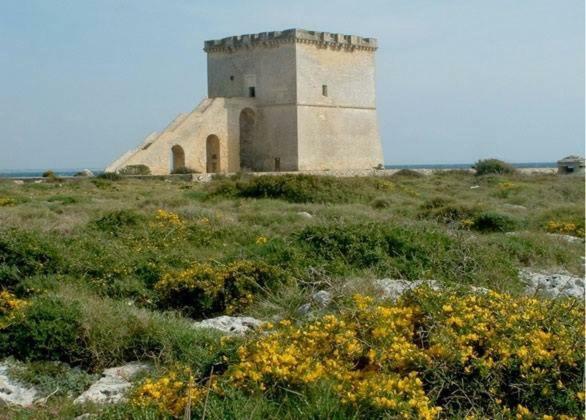 Vev Salento Bed & Breakfast Porto Cesareo Ngoại thất bức ảnh